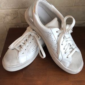 Steve Madden Rezza sneakers